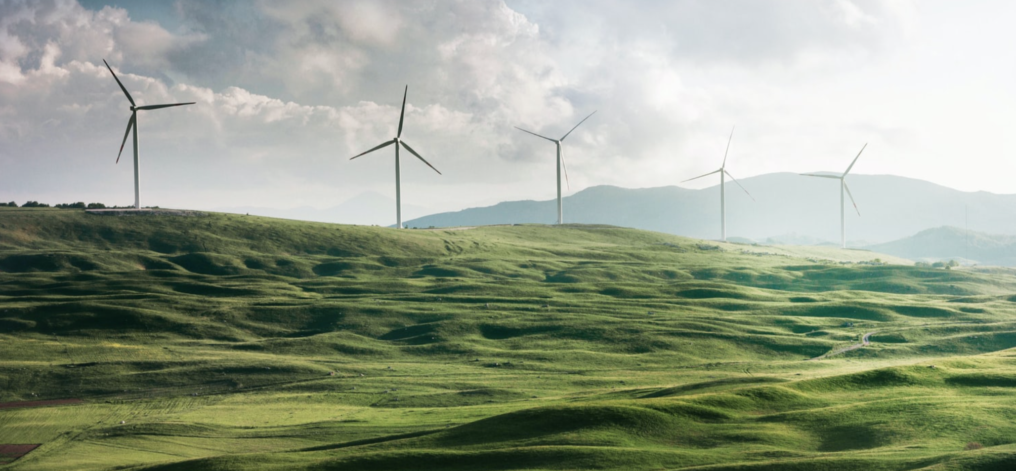 Snímek obrazovky 2021-05-30 v 17.50.53